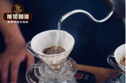 什麼是咖啡悶蒸 悶蒸的目的 悶蒸的方法步驟簡介