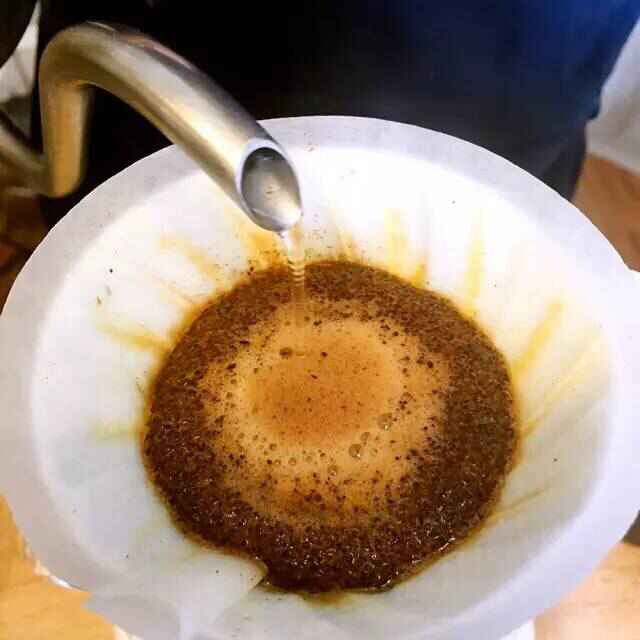精品咖啡豆與精品咖啡的講解  咖啡入門學基礎