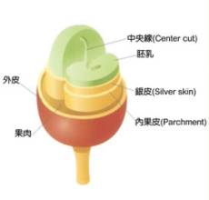 小小的咖啡豆是由哪些因素組成的？ 咖啡入門學基礎