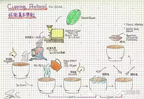 咖啡技術鑑別：如何辨別好咖啡-Cupping 杯測的操作介紹