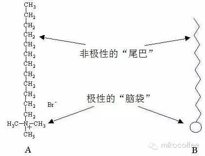 意式咖啡製作教程：咖啡拉花中的流體力學原理詳細講解