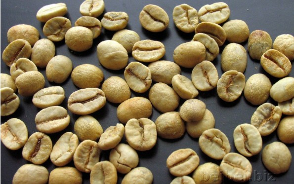 世界精品咖啡豆介紹：巴西山多士咖啡生豆Brazil Santos Coffee