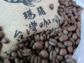 瑪翡咖啡 精品咖啡最新介紹 臺灣阿里山瑪翡咖啡