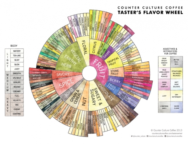 咖啡知識要點;美國反傳統咖啡SCAA風味輪基礎發佈新版咖啡風味輪