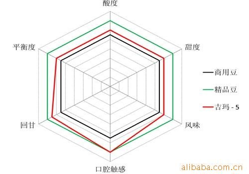 非洲咖啡莊園埃塞俄比亞產區吉瑪咖啡生豆DjimmaG4級日曬摩卡味