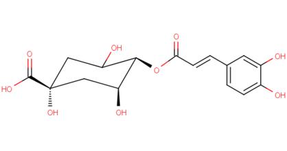 SCAA Emma Bladyka 綠原酸：化學和現實 烘培中的化學變化重要意