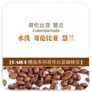 哥倫比亞慧蘭(Colombia huila）咖啡豆