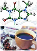 咖啡是否影響健康？