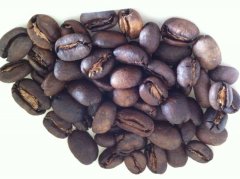 PWN 曼特寧 GAYO G1