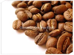 哥倫比亞 Colombia Don Rigo Estate