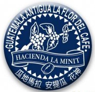 危地馬拉安提瓜咖啡（Guatemala Antigua）