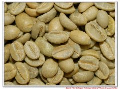 烘焙：Ninety-Plus Ethiopia Tchembe Natural