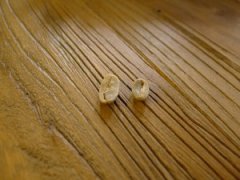 精品單品咖啡豆 中美洲尼加拉瓜咖啡豆