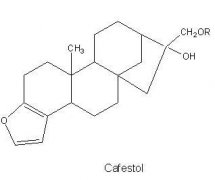 瞭解什麼是咖啡醇？