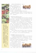 咖啡豆的基礎知識 咖啡三大原生種