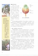 咖啡豆的基礎知識 咖啡的栽培過程