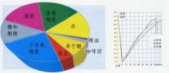 咖啡烘焙技術 咖啡烘培的流程及階段特徵