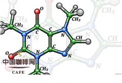 精品咖啡健康 咖啡因含量多影響你的健康