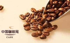 精品咖啡基礎常識 生咖啡豆的主要化學成份