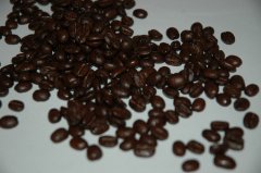 精品咖啡豆推薦 薩爾瓦多雷納斯莊園咖啡豆