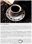 精品咖啡豆咖啡常識 藍山咖啡