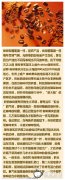 精品咖啡豆 咖啡果實的差異