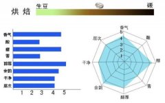 精品咖啡豆介紹 水果之王耶加雪菲G1