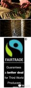 精品咖啡組織 公平貿易(Fairtrade)咖啡