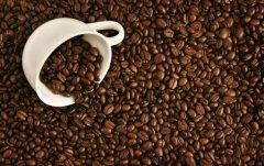 咖啡基礎常識 Single espresso濃縮咖啡