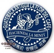 咖啡文化常識 危地馬拉安提瓜花神咖啡文化