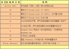 肯尼亞咖啡豆生產地 咖啡模範生產國