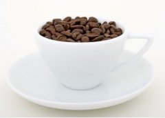 精品咖啡豆 羅巴斯塔咖啡（Coffee. Robusta）