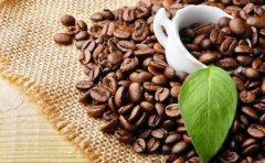 Coffee Roasting 咖啡烘焙詳解