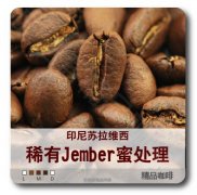 蘇拉維西高級蜜處理豆Jember