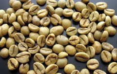 印尼爪哇羅布斯塔生豆Indonesia Java Robusta