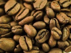 咖啡的種類 精品咖啡豆基礎常識