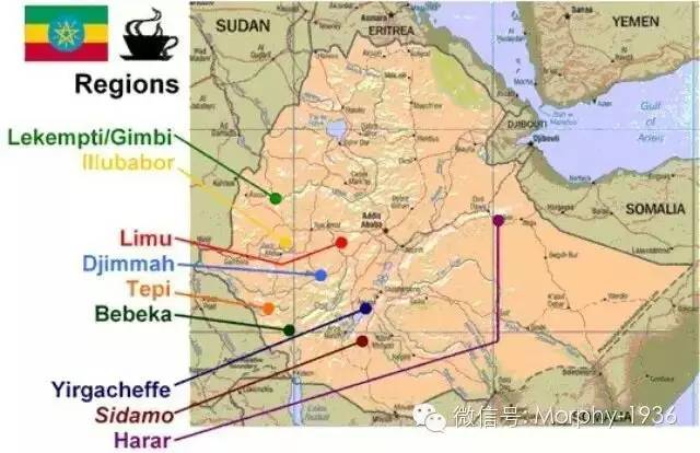 精品咖啡豆 埃塞俄比亞咖啡介紹