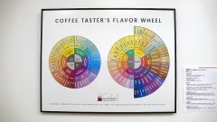 SCAA的咖啡風味輪Coffee Taster's Flavor Wheel