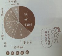 圖解生咖啡豆是由哪些成分構成的