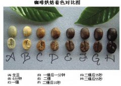 咖啡烘焙全過程詳解 烘焙各階段咖啡豆的對照