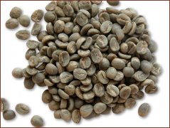 雲南小粒種咖啡生豆圖片(Arabica)