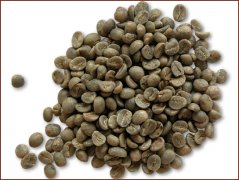 中國精品咖啡豆推薦 雲南小粒種咖啡生豆圖片(Arabica)