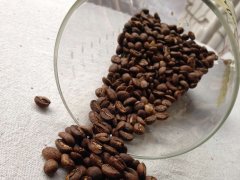 精品咖啡豆埃塞俄比亞的咖啡介紹