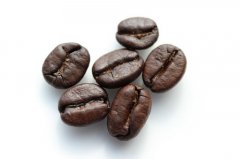 如何選擇你的espresso競賽用豆？