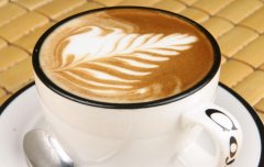 咖啡兩個品種分類 Arabica 和 Robusta