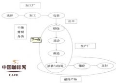 生產及加工咖啡豆的過程 乾燥法與水洗法