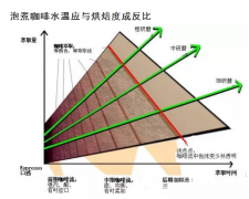 SCAA咖啡萃取的關鍵因素 水溫、時間、水流