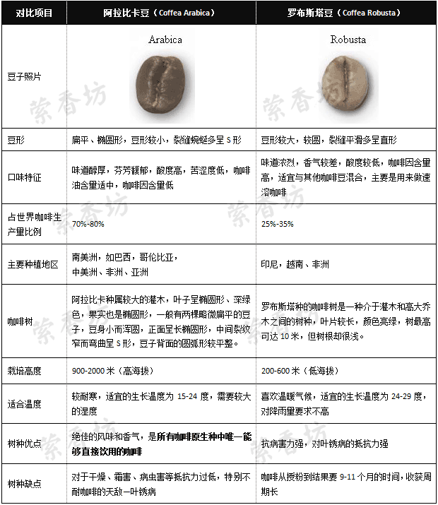 咖啡豆之阿拉比卡和羅布斯塔的區別 阿拉比卡豆和羅布斯塔豆