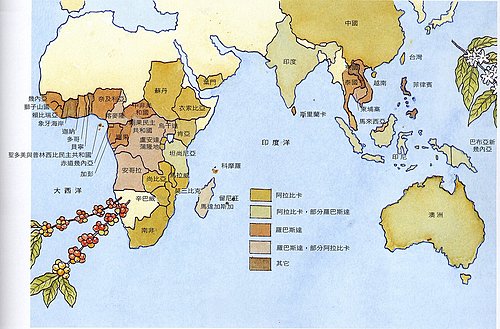 咖啡豆的基礎知識 咖啡的3大原生種 羅布斯塔種 阿拉比卡種 利比