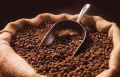 印尼爪哇羅布斯塔生豆Indonesia Java Robusta 爪哇精品咖啡 咖啡